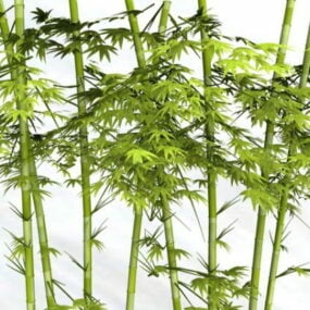 3D model tropických bambusových rostlin