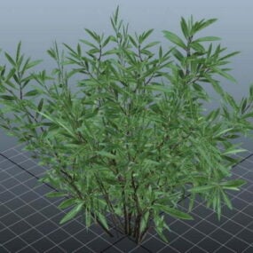 Planta de adelfa modelo 3d