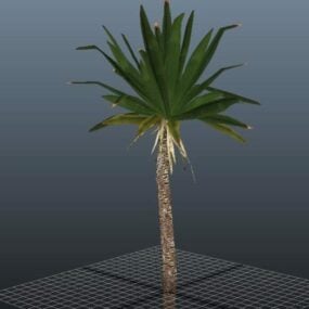 Modello 3d della pianta dell'albero di Yucca