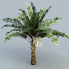 Raphia Palm Trees 3d model