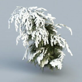 Winter Cedar Tree 3d model