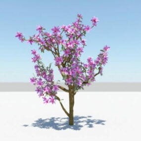 Purple Azalea Plants 3d model