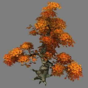 Stary model drzewa klonowego 3D
