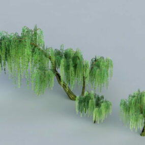シダレヤナギの木3Dモデル