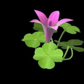 花を持つクローバー植物3Dモデル