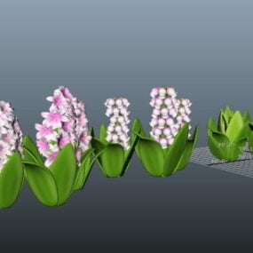 Mô hình 3d hoa lục bình mùa xuân