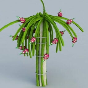 Dragon Fruit Plant 3d-modell