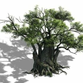 Tisíc let starý strom 3D model