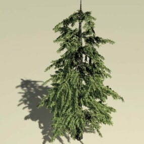 Pond Cypress Tree 3d model