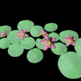3d модель квітів латаття