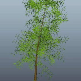 Small Yard Tree 3d-modell