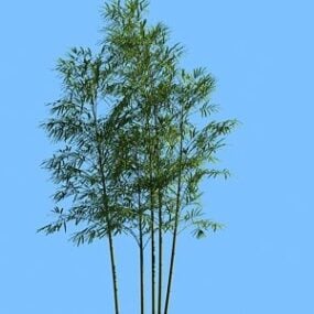 竹类植物3D模型