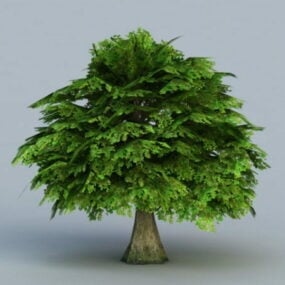Tree With Leaves 3d model