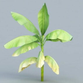 Modello 3d dell'albero della pianta della foglia di banana