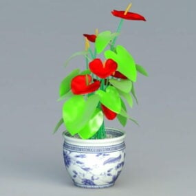 Anthurium Potted Plant 3d model