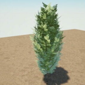 Evergreen Tree 3d model