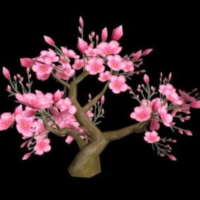 Kääpiö kukkiva persikkapuu 3d-malli
