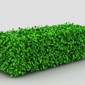 Box Hedge Topiary דגם תלת מימד