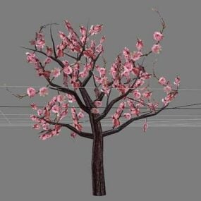 Ornamental Flowering Peach Tree 3d model
