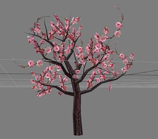Dekorativer blühender Pfirsichbaum