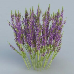 Mô hình 3d hoa thạch thảo