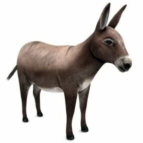 Realistisk Donkey 3d-modell