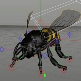 Honey Bee Rig 3D-Modell
