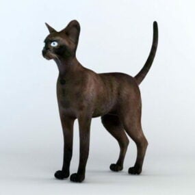 トンキニーズ猫3Dモデル