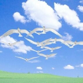 3д модель Flying Dove Animation