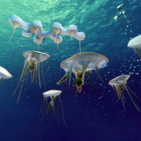 3д модель подводной медузы