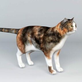 Calico Cat Rig 3d model