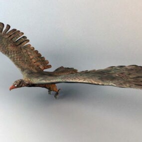 Falcon Bird Rig 3d model