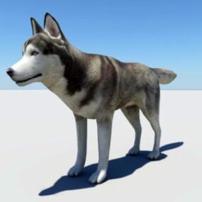 نموذج كلب الهاسكي ثلاثي الأبعاد