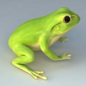 צפרדע ירוקה Lowpoly מודל תלת מימד של בעלי חיים