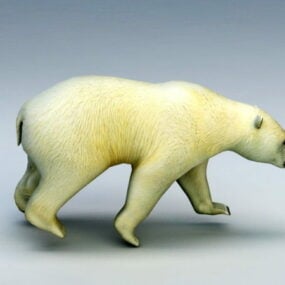 Isbjörn 3d-modell