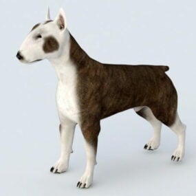 Bullterrier-Hunde-Rig 3D-Modell