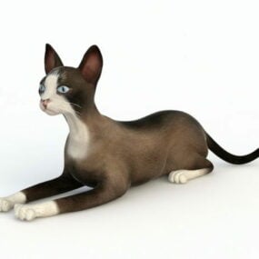 Lowpoly Brush Cat Animal Character 3d model