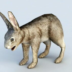 野兔3d模型