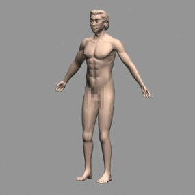 筋肉質の男性の体の3Dモデル