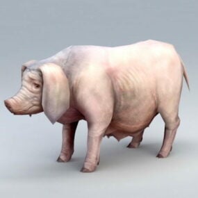 低ポリ雌豚豚3Dモデル