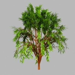 Model 3d Pokok Willow Kecil