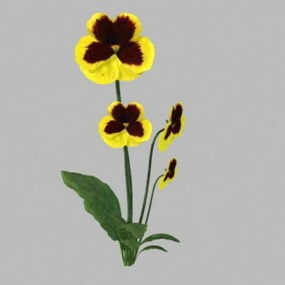 Geel viooltje bloemen 3D-model