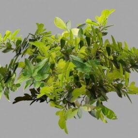 Galhos de árvores com folhas Modelo 3D
