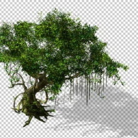 Altes Banyan Tree 3D-Modell