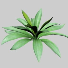3д модель растения Agave Century