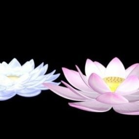 דגם תלת מימד של פרחי לוטוס ורוד ולבן