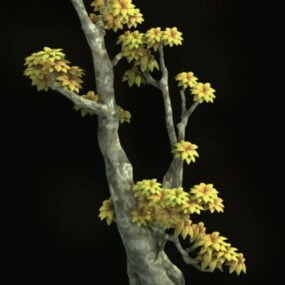 Cartoon White Poplar Trees 3d model