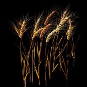 3д модель стебля пшеницы