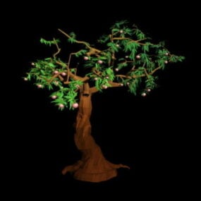 مدل سه بعدی درخت هلو قدیمی با میوه