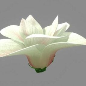 Modello 3d del grande fiore bianco